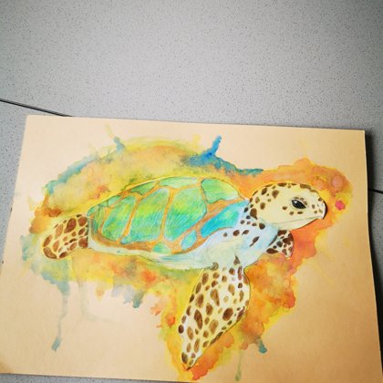 Schildkröte Aquarell