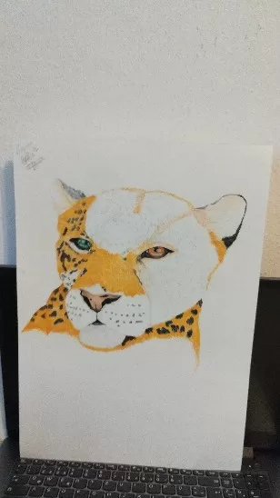 Leoparden 4 h Arbeit