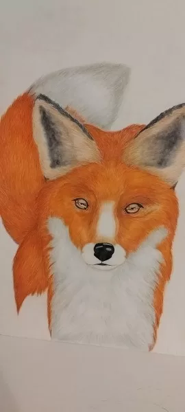Fuchs in Farbe 30 h Arbeit