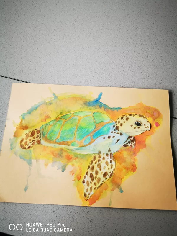 Schildkröte Aquarell